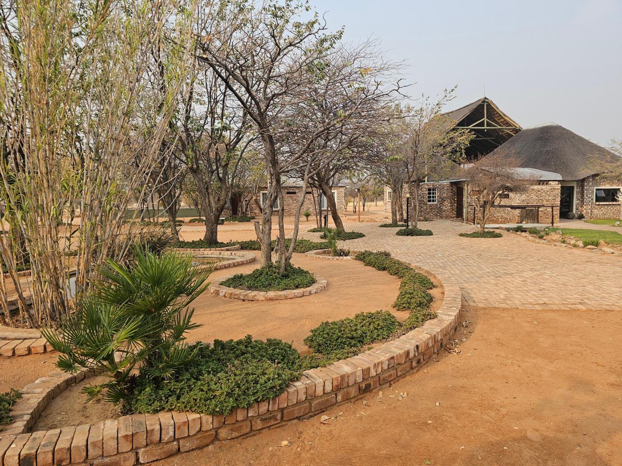 Kaoko Bush Lodge Kamanjab Exteriör bild