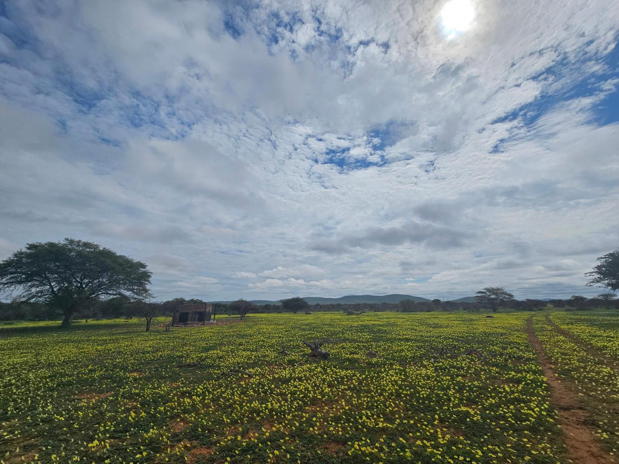 Kaoko Bush Lodge Kamanjab Exteriör bild