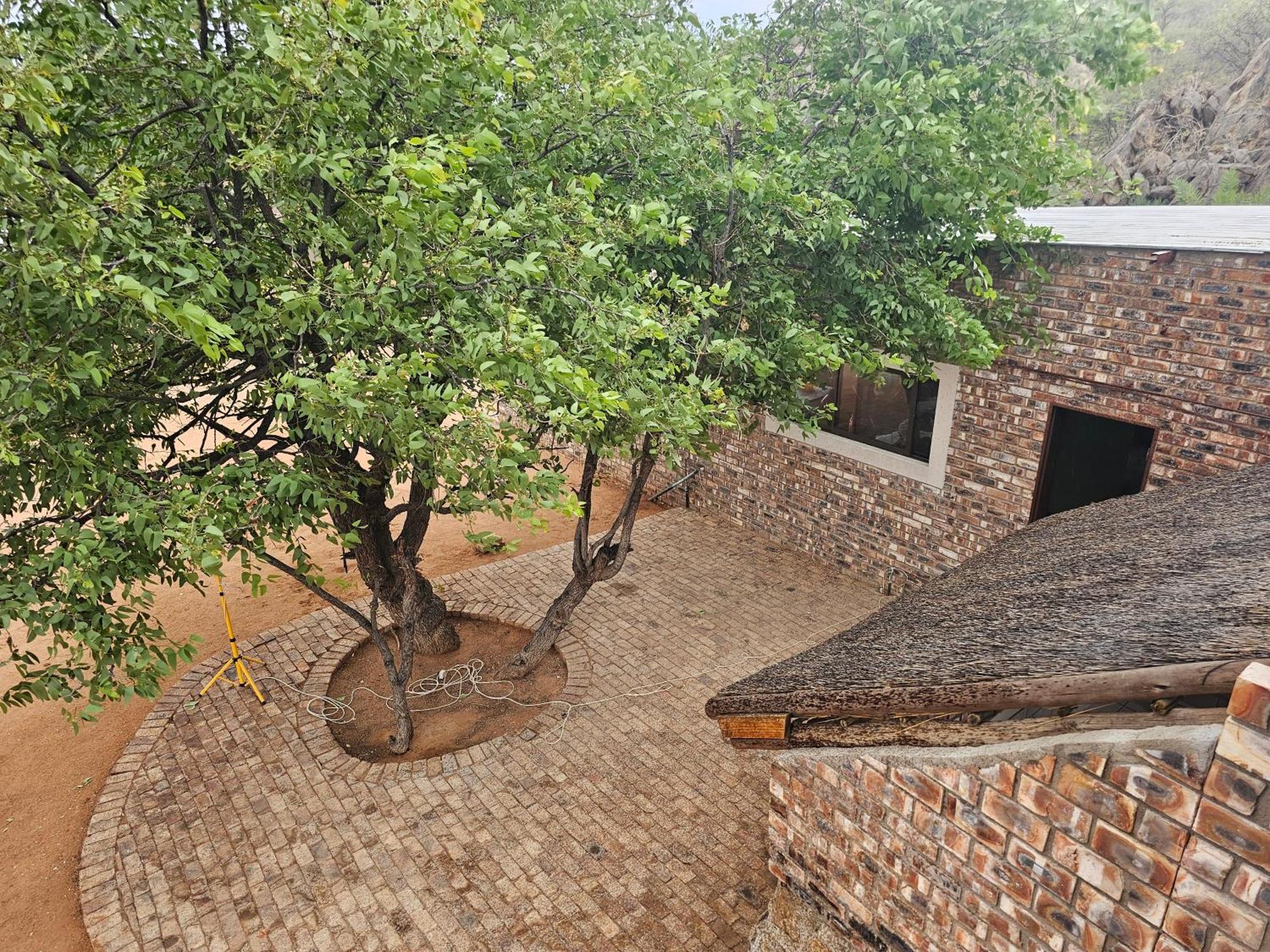 Kaoko Bush Lodge Kamanjab Exteriör bild